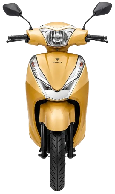 Front View